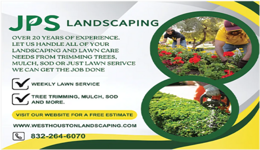 Over 20 Years Experience